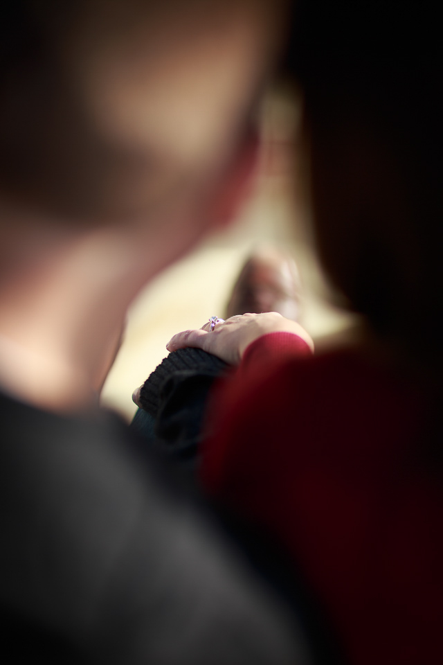 Belle Isle engagement photo