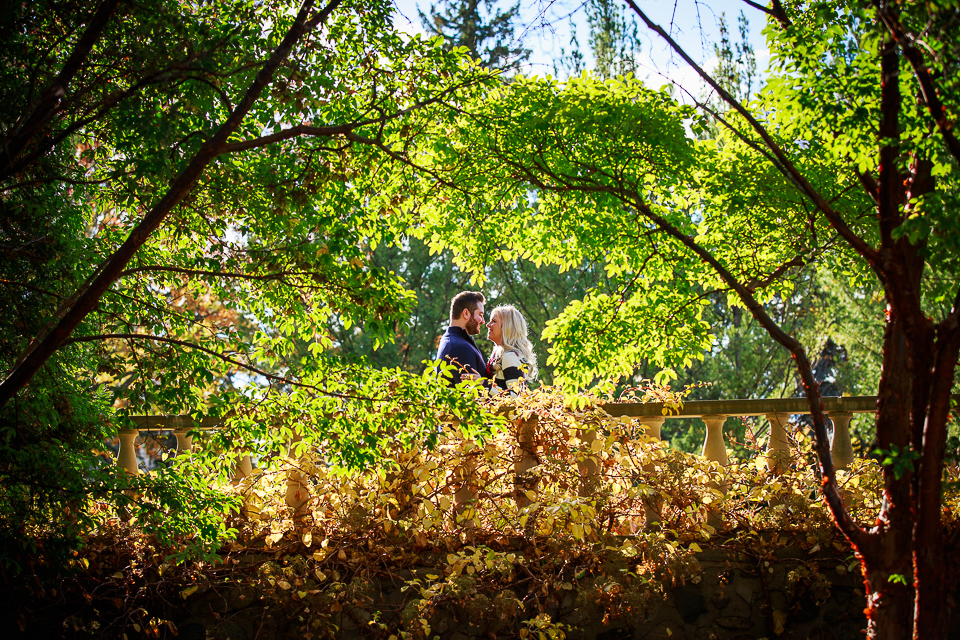 Birmingham Michigan Engagement Photos