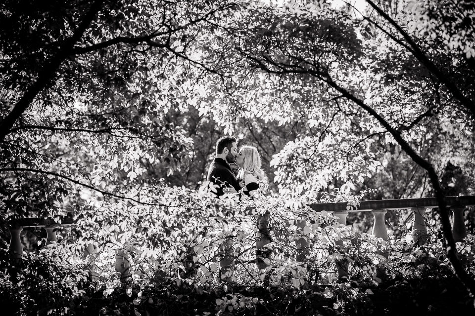 Birmingham Michigan Engagement Photos