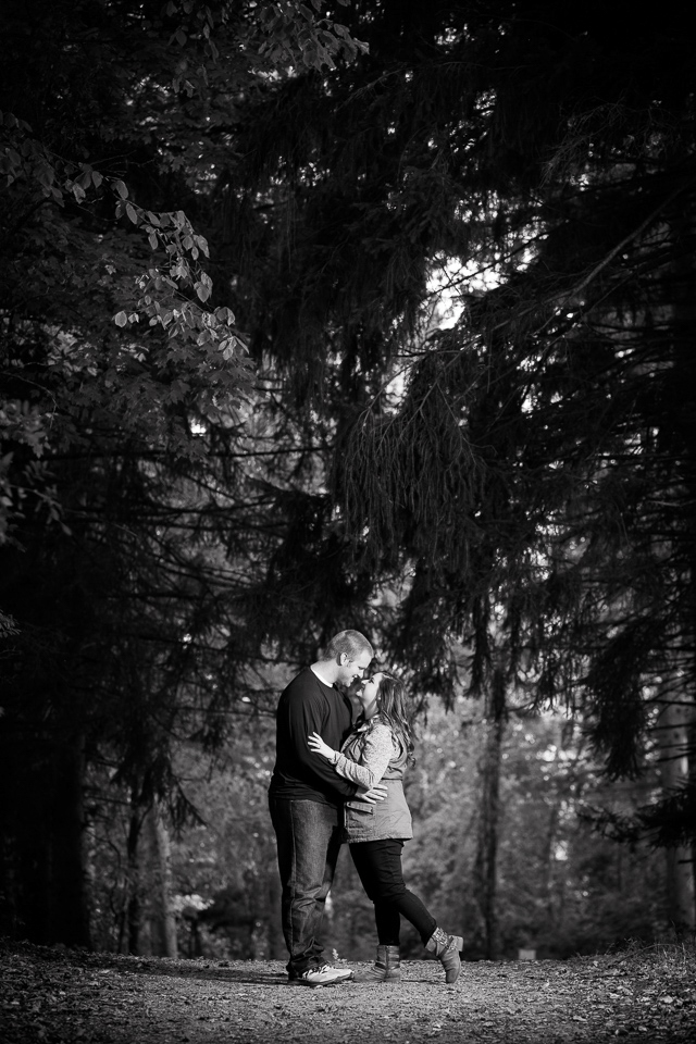 Stoney Creek Metropark engagement photos